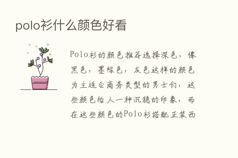 polo衫什么颜色好看