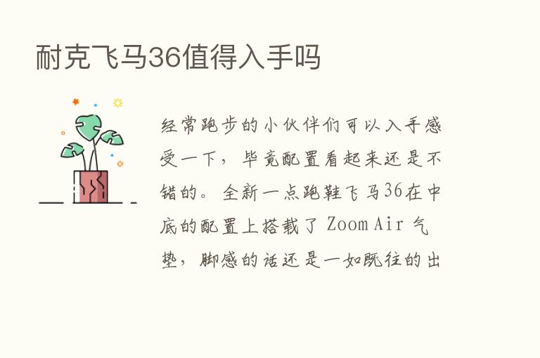 耐克飞马36值得入手吗