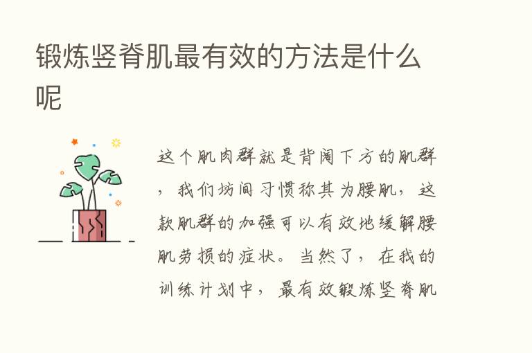 锻炼竖脊肌   有效的方法是什么呢