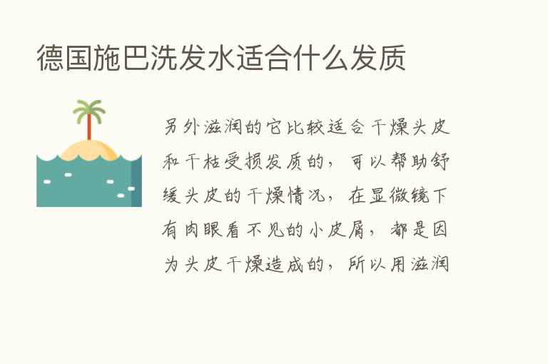 德国施巴洗发水适合什么发质