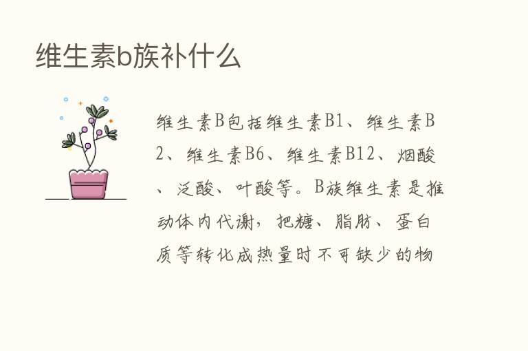 维生素b族补什么