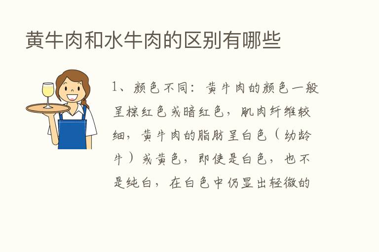 黄牛肉和水牛肉的区别有哪些