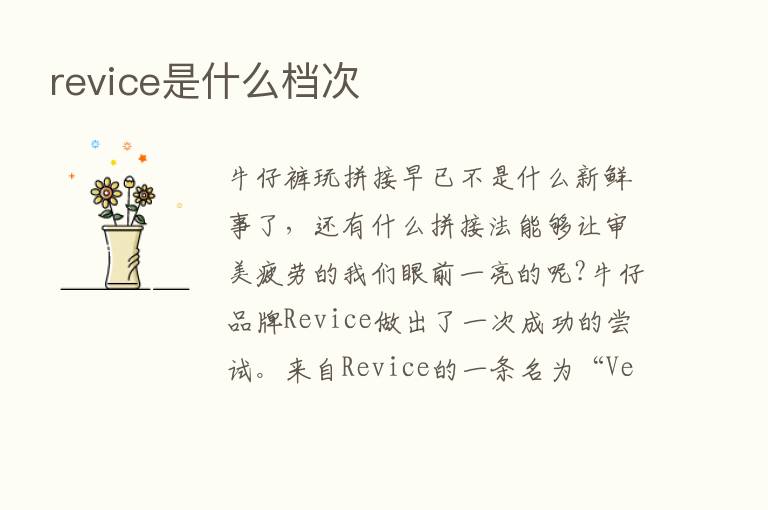 revice是什么档次