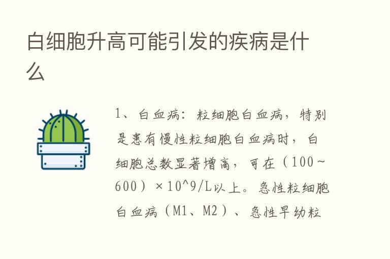 白细胞升高可能引发的疾病是什么