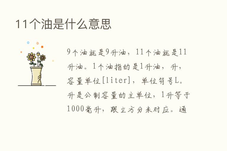 11个油是什么意思