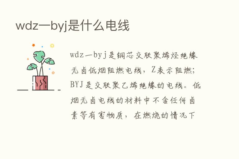 wdz一byj是什么电线