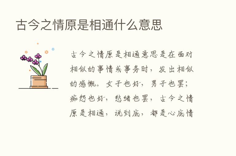 古今之情原是相通什么意思