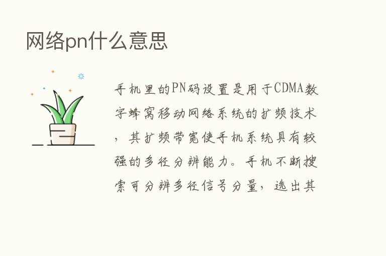 网络pn什么意思