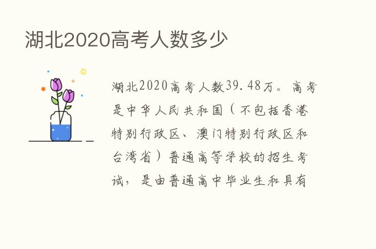 湖北2020高考人数多少