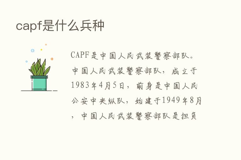 capf是什么兵种