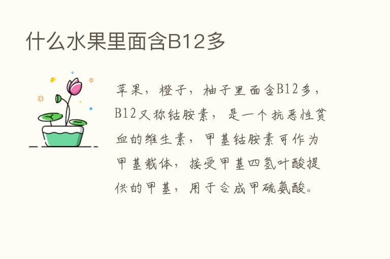 什么水果里面含B12多