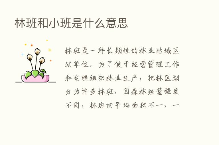 林班和小班是什么意思