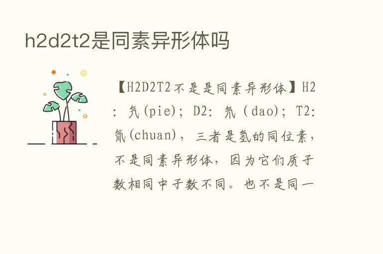 h2d2t2是同素异形体吗