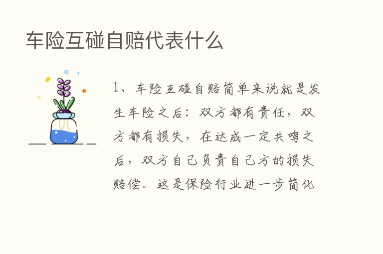 车险互碰自赔代表什么