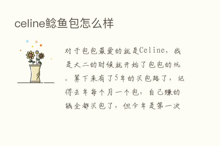 celine鲶鱼包怎么样