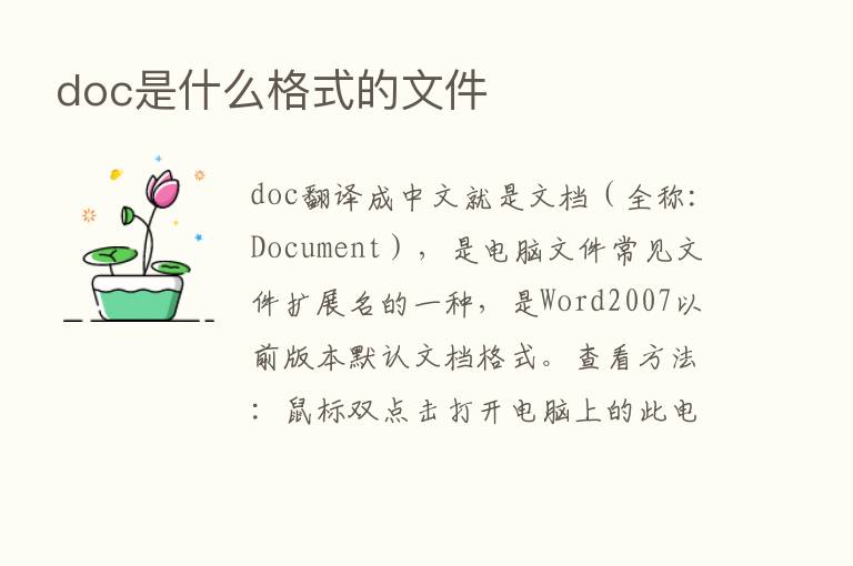 doc是什么格式的文件