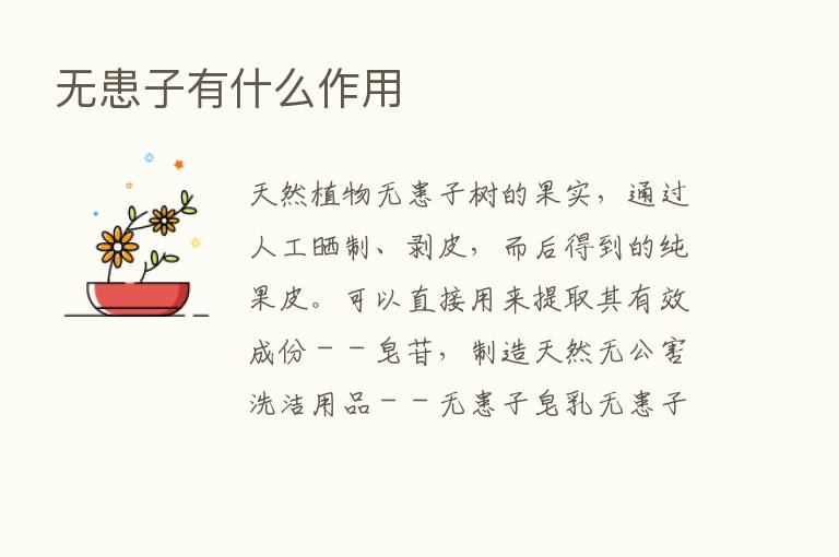 无患子有什么作用