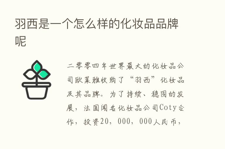 羽西是一个怎么样的化妆品品牌呢