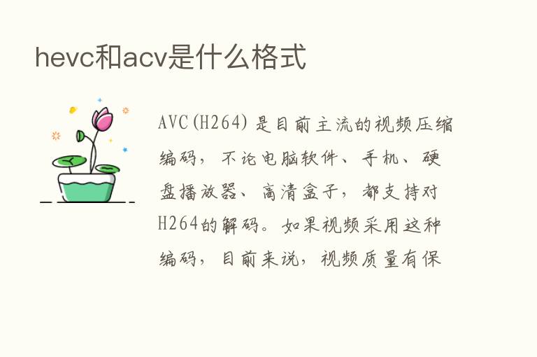 hevc和acv是什么格式