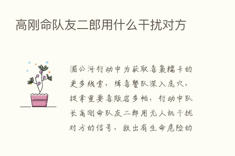 高刚命队友二郎用什么干扰对方