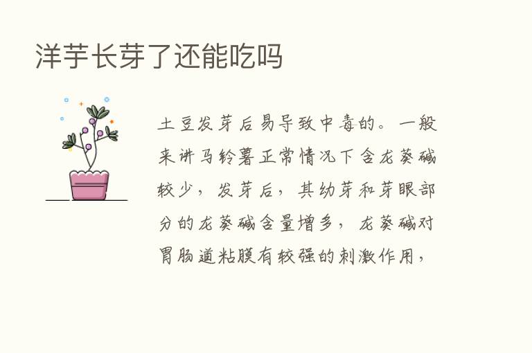 洋芋长芽了还能吃吗