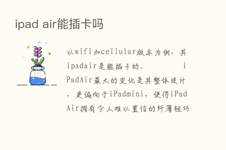 ipad air能插卡吗