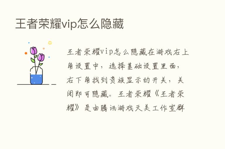 王者      vip怎么隐藏