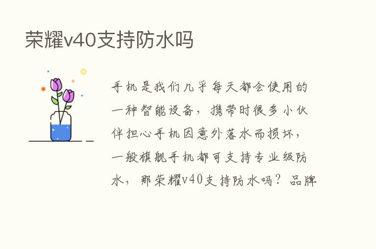       v40支持防水吗