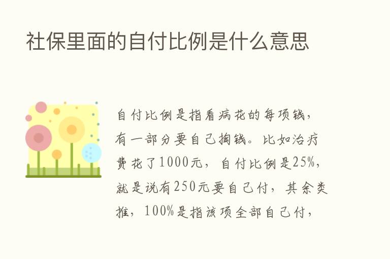 社保里面的自付比例是什么意思