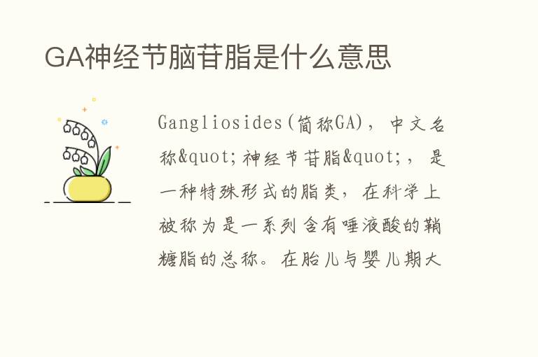  GA神经节脑苷脂是什么意思