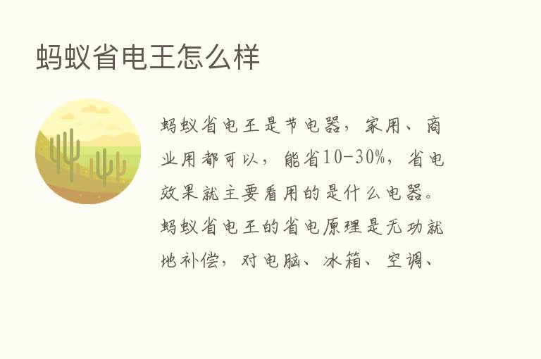 蚂蚁省电王怎么样