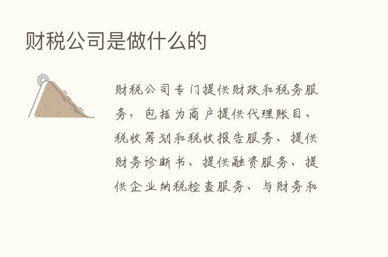 财税公司是做什么的