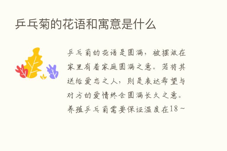 乒乓菊的花语和寓意是什么