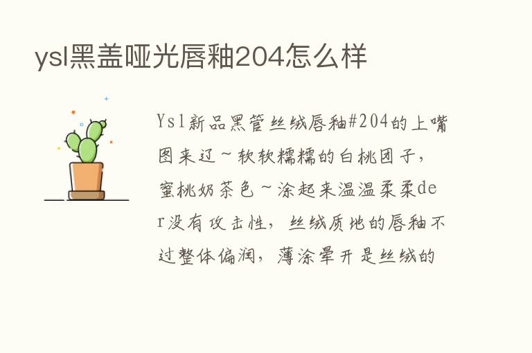 ysl黑盖哑光唇釉204怎么样