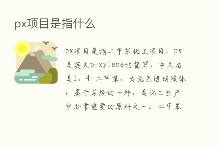 px项目是指什么