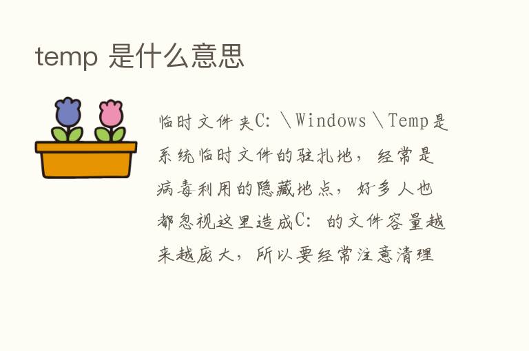 temp 是什么意思