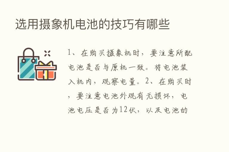 选用摄象机电池的技巧有哪些