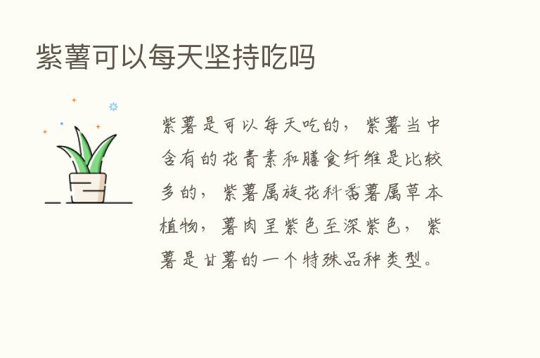 紫薯可以每天坚持吃吗