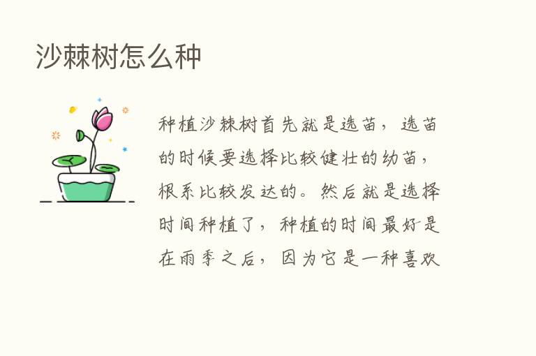 沙棘树怎么种