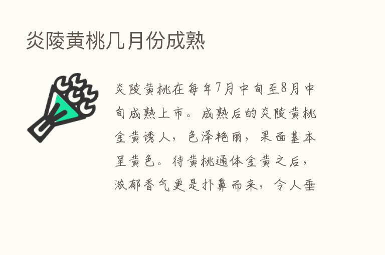 炎陵黄桃几月份成熟