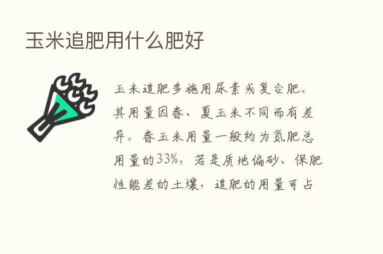 玉米追肥用什么肥好