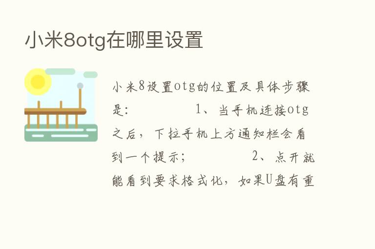 小米8otg在哪里设置