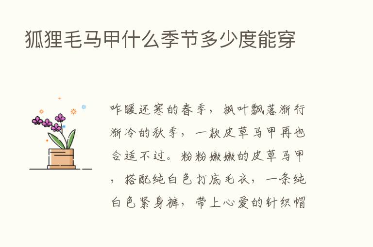 狐狸毛马甲什么季节多少度能穿