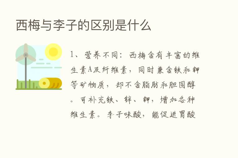 西梅与李子的区别是什么