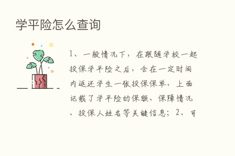 学平险怎么查询