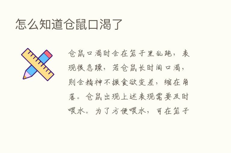 怎么知道仓鼠口渴了