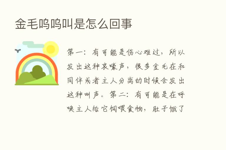 金毛呜呜叫是怎么回事