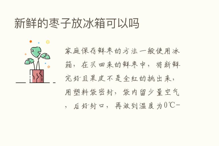 新鲜的枣子放冰箱可以吗