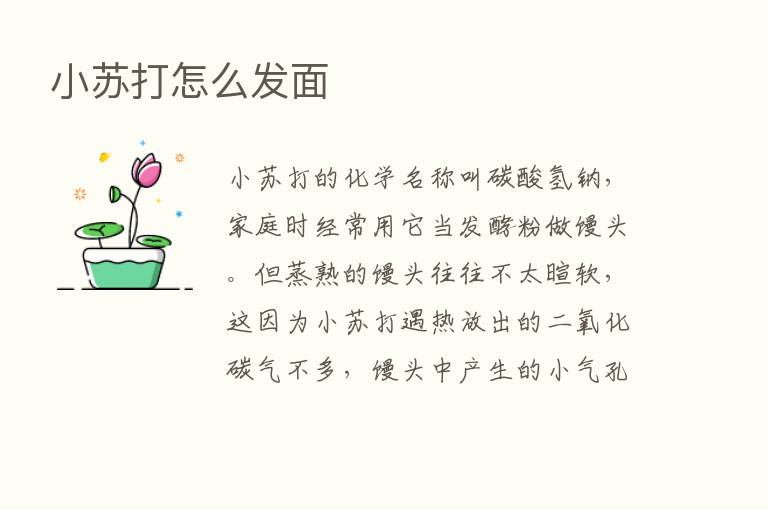 小苏打怎么发面