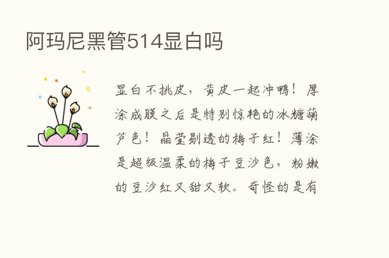 阿玛尼黑管514显白吗